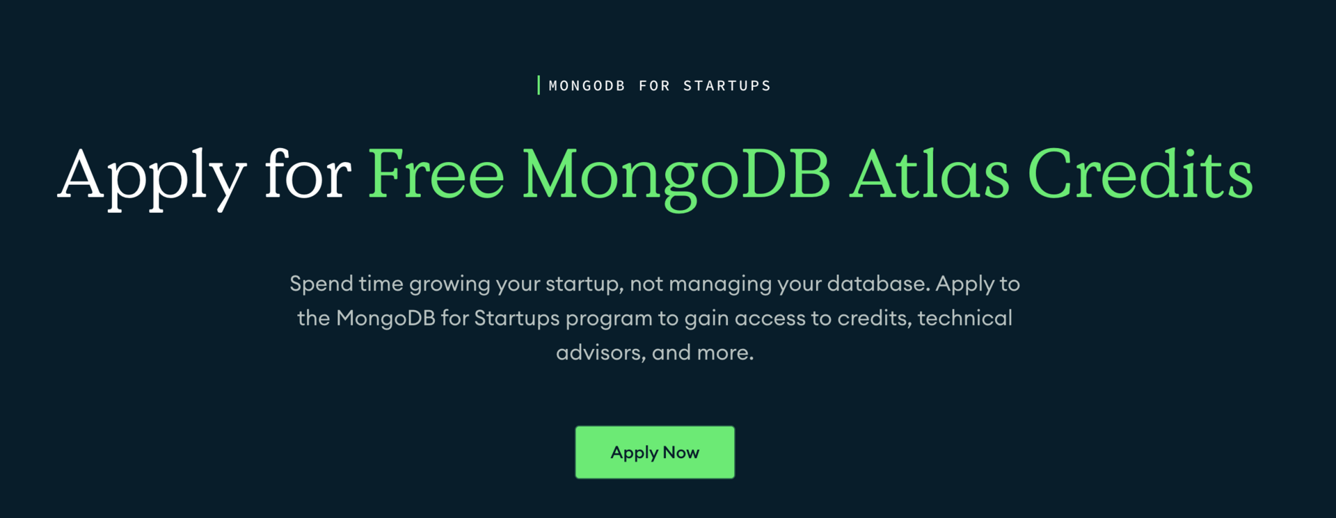 Building AI in 2025 starts with your data choices