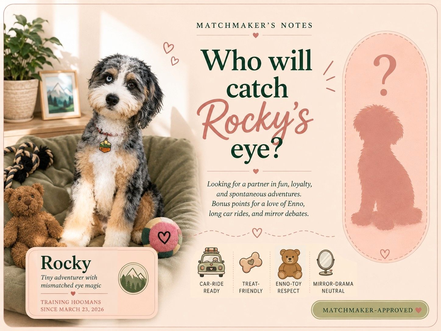 Matchmaker’s Notes graphic asking who will catch Rocky’s eye