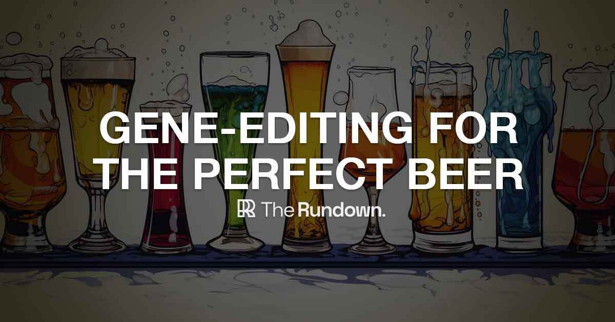 ⚡️ New tech gene-edits the perfect beer