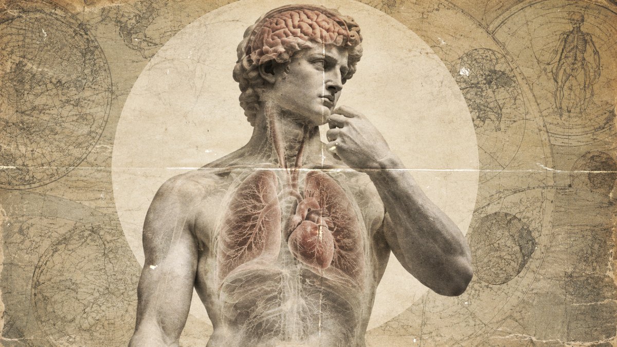 Illustration of the heart, lungs and brain connected by neural pathways