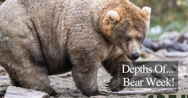 Depths Of... Bear Week