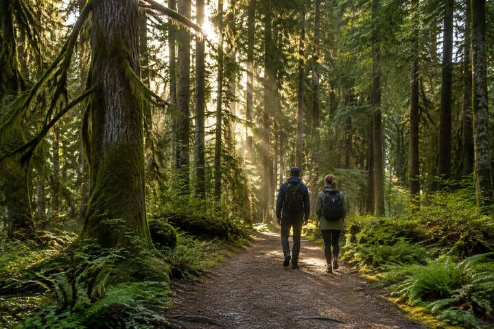 Hikers walking beneath tall trees on a forest trail in Watershed Park, North Delta BC
