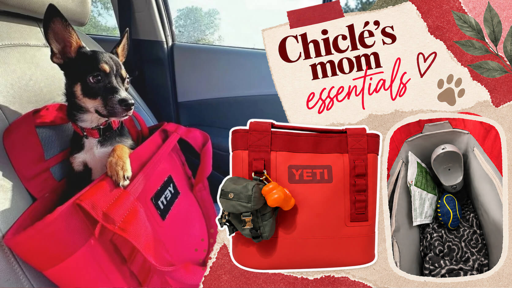 Chiclé with his red YETI bag and the essentials packed inside