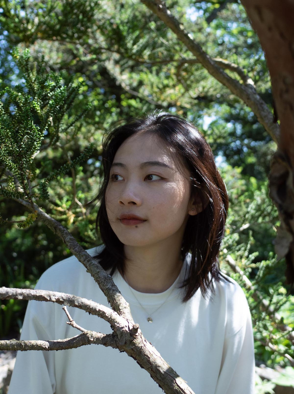 Jiwei Zhou.