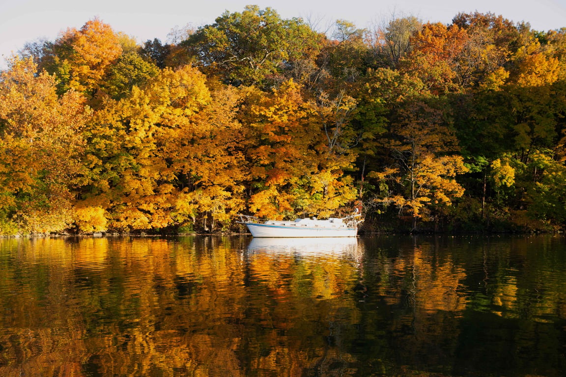 Autumn foliage along the water near Kingston