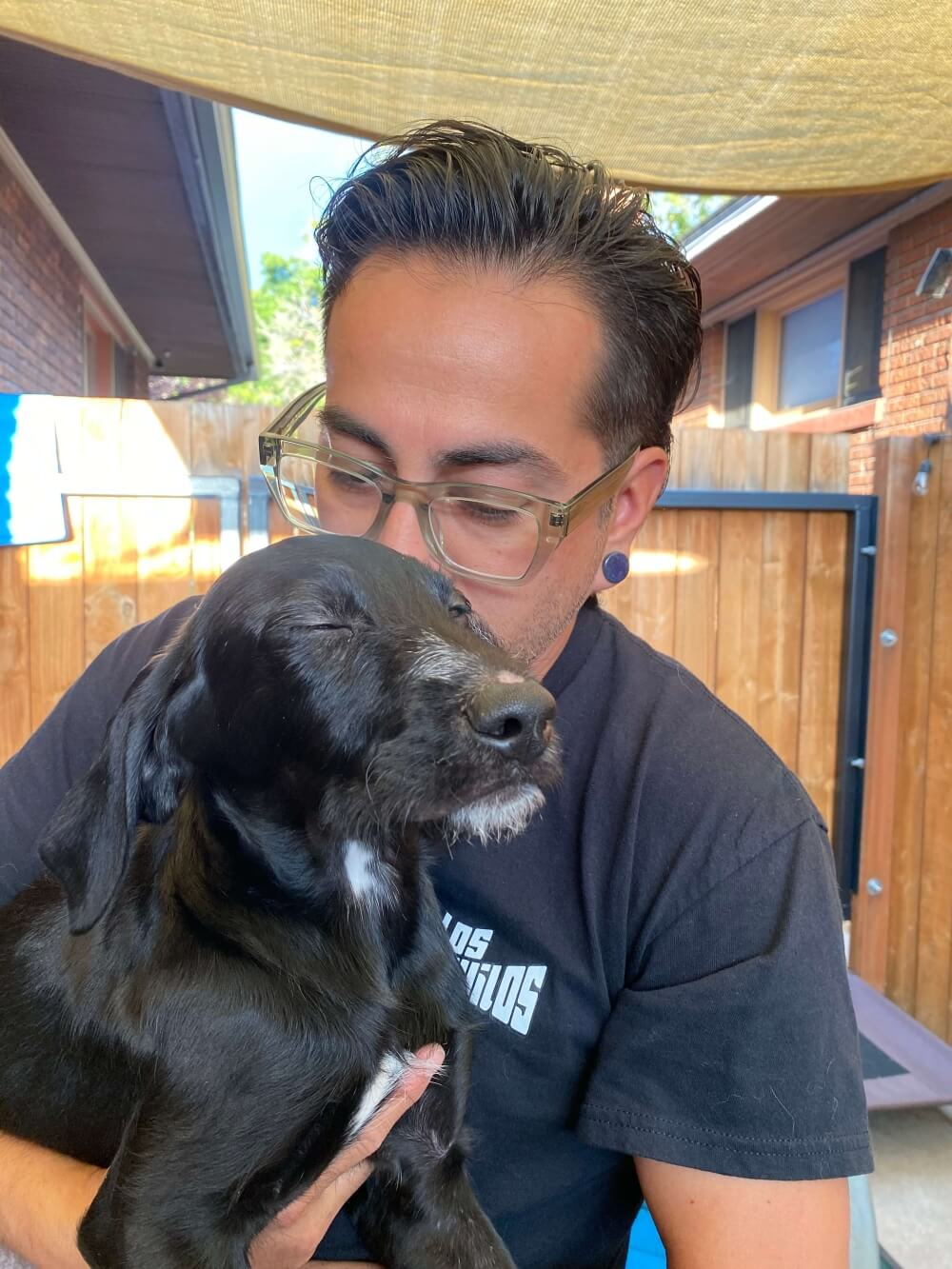 Trombone enjoying time in a home during her short-term foster weekend