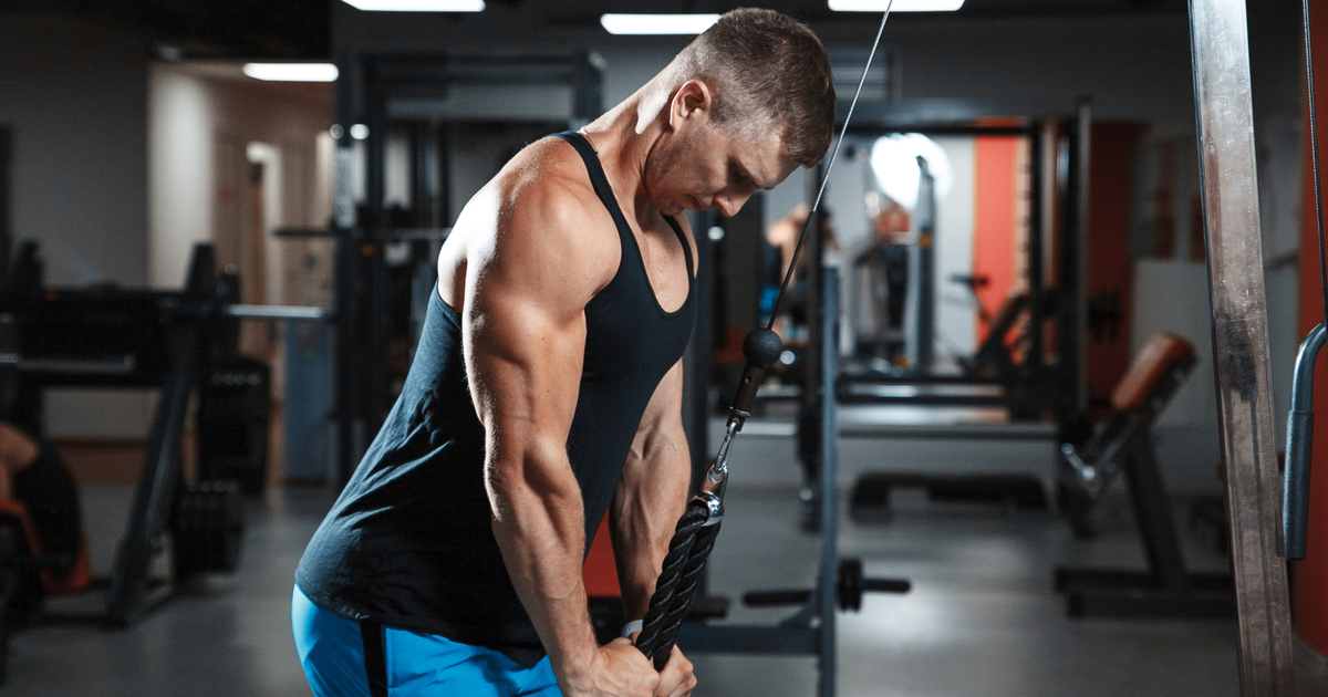 🏋️‍♂️ 11 best home gym machines 