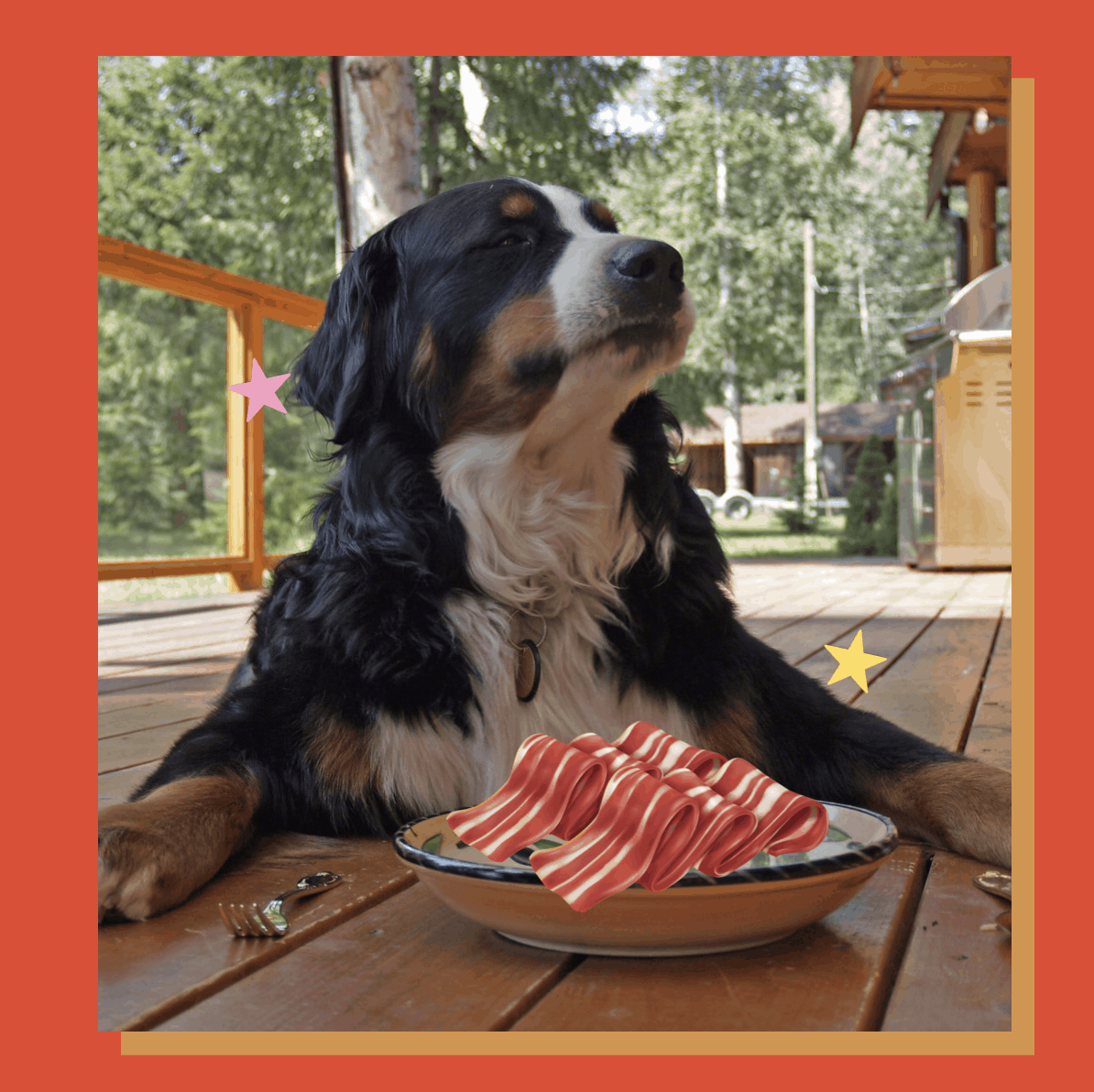 Can Dogs Eat Raw Bacon?