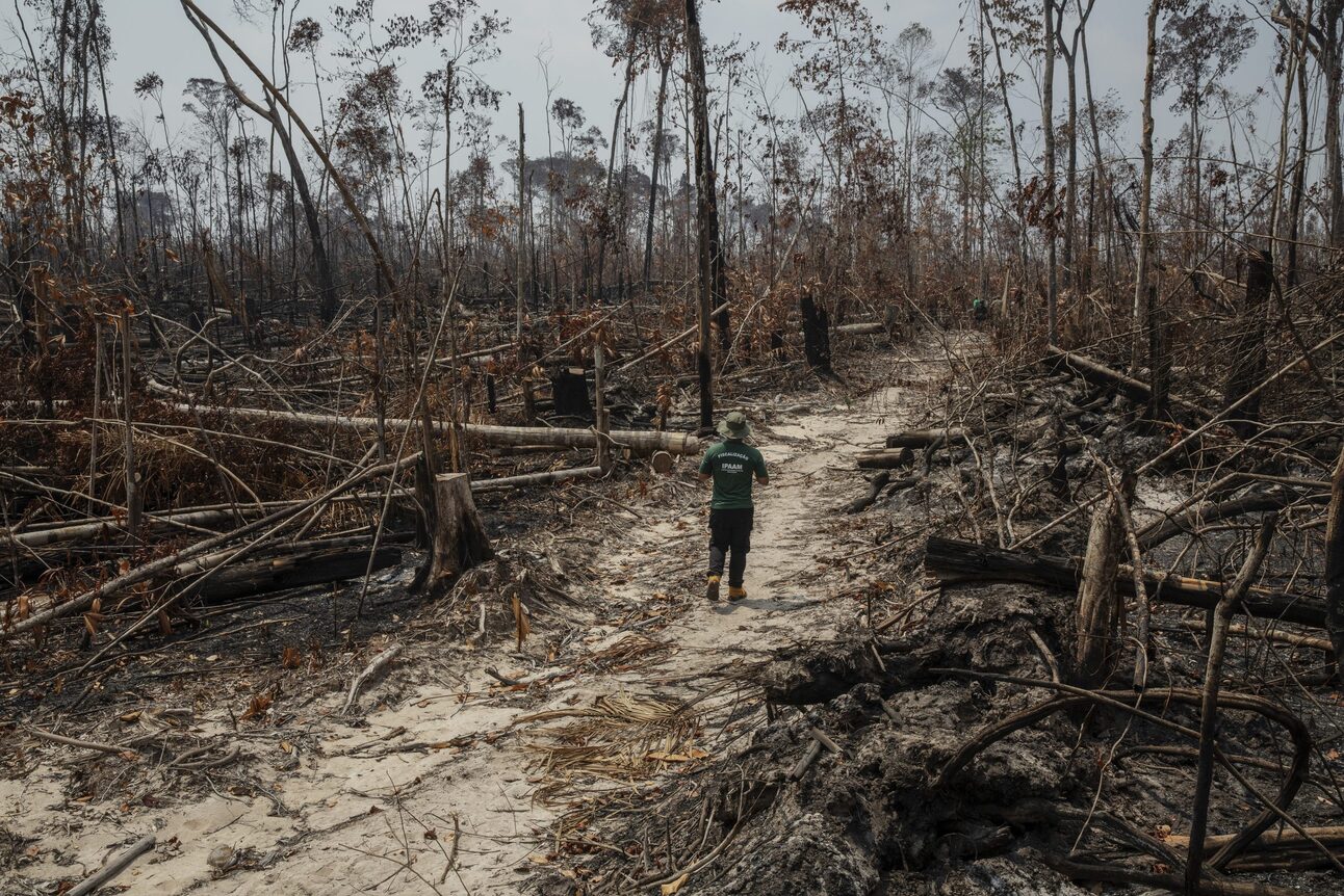 Forest Code 🌳 Ten years of Brazil’s Forest Code