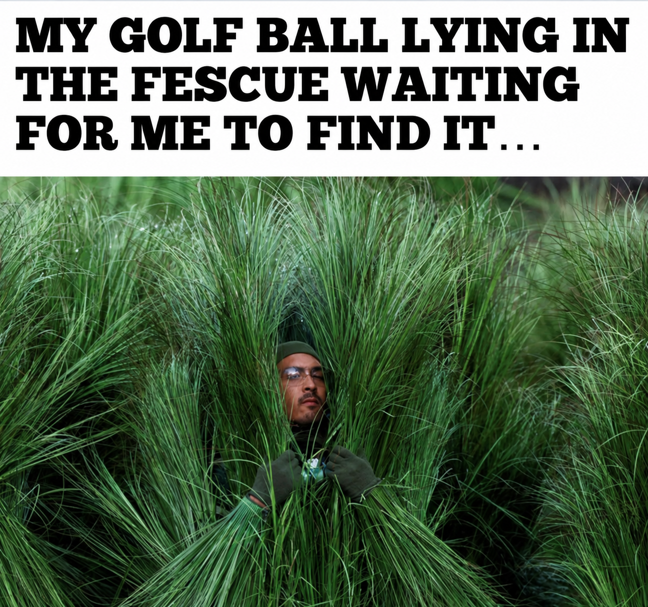 Meme of the week