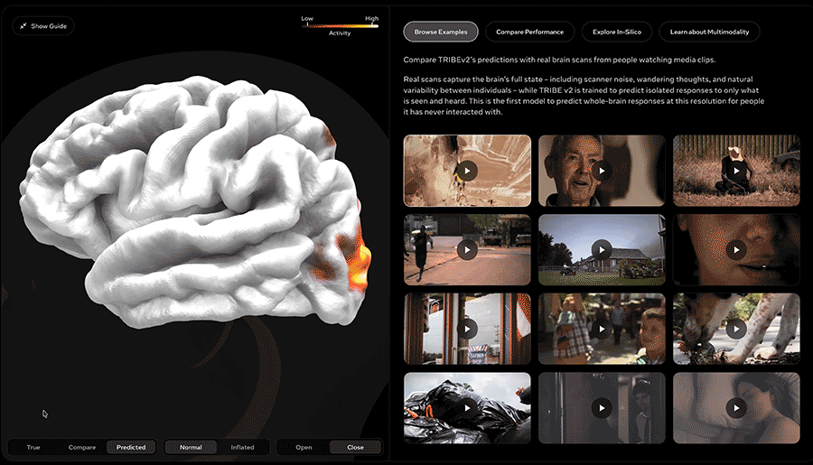 Meta TRIBE v2 neuroscience AI