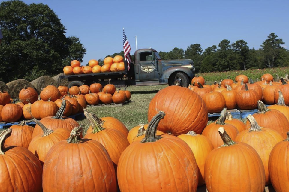 Southern Belle Farm in McDonough