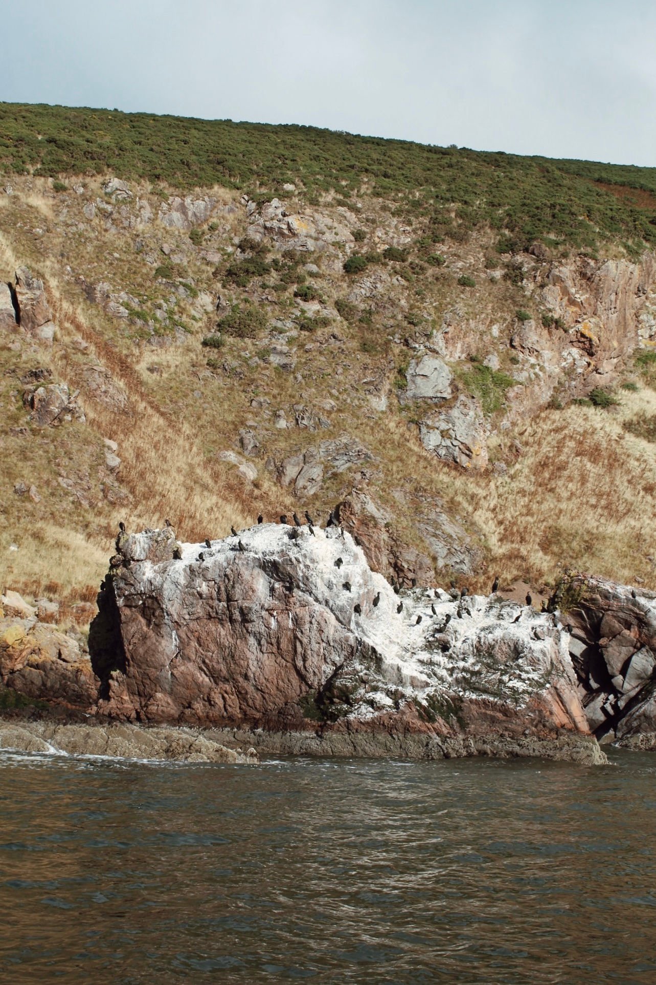 Rocky Scottish coastline explored during a stay at Newhall Mains
