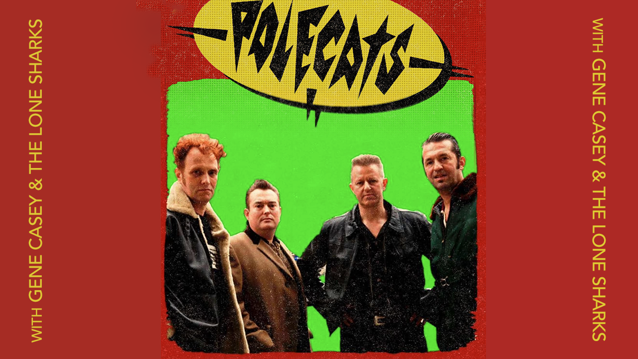 The Polecats : official promotional image
