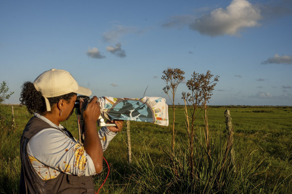Letter from Kacau Oliveira: What changes when you learn to observe before clicking?