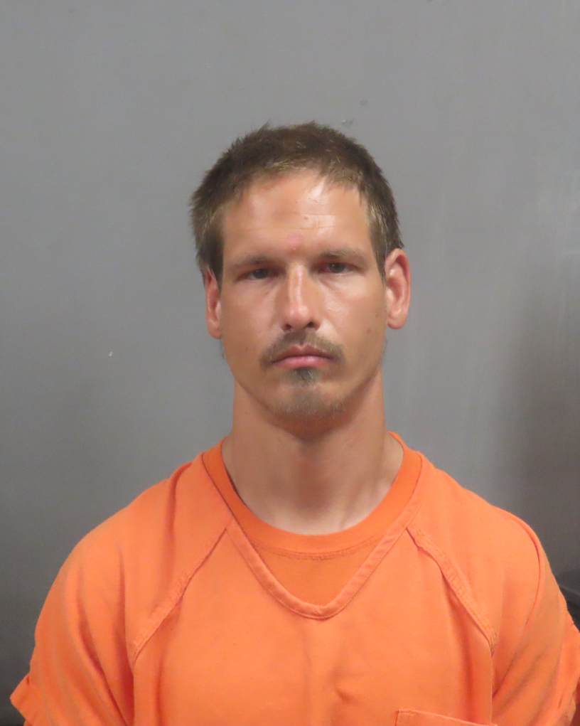 Nicholas Chapman booking or case-related image