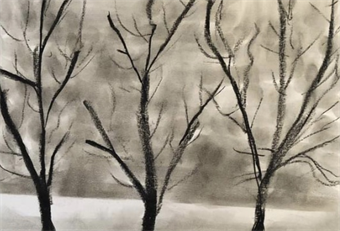 Workshop artwork: Winter Landscapes in Pastel and Charcoal