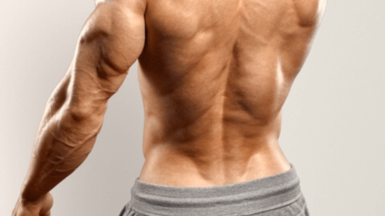 🏋️‍♂️ 8 best lower back exercises for strength and stability