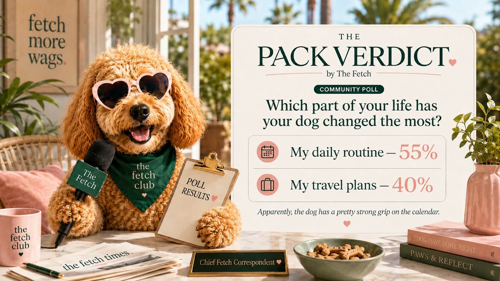 The Fetch Pack Verdict poll results