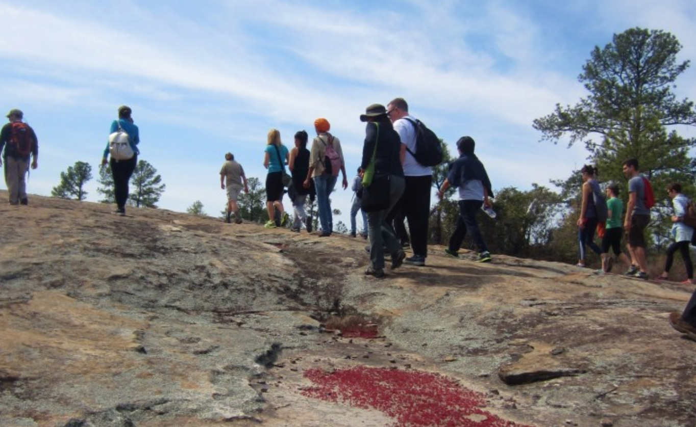 Free Guided Nature Hike