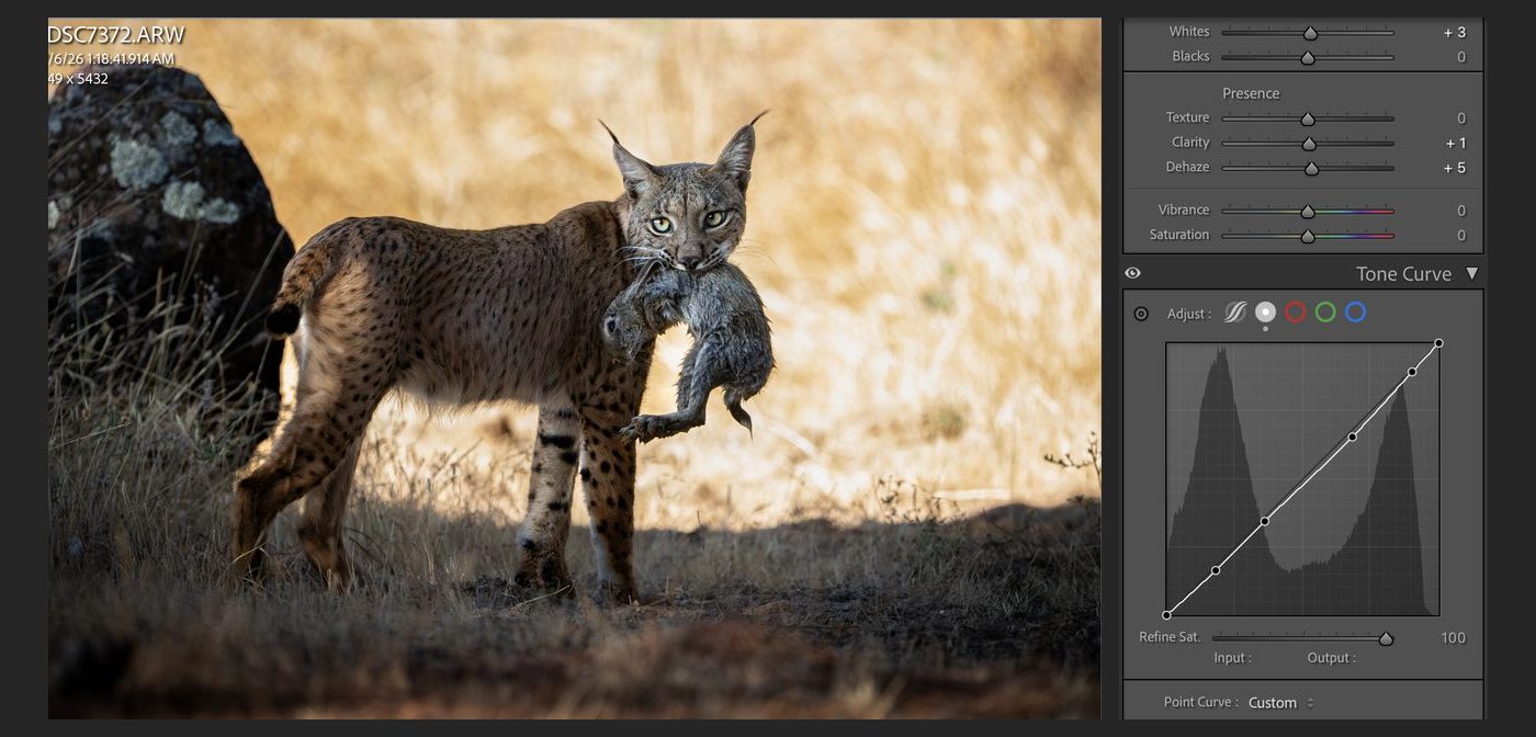 Lightroom's presence sliders and tone curve