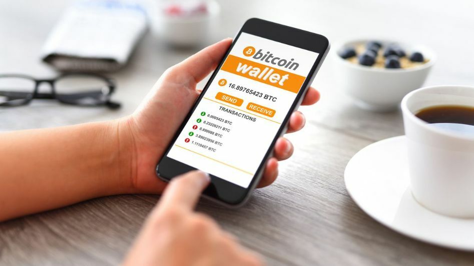 Crypto Wallets: Top Picks On How To Choose The Best