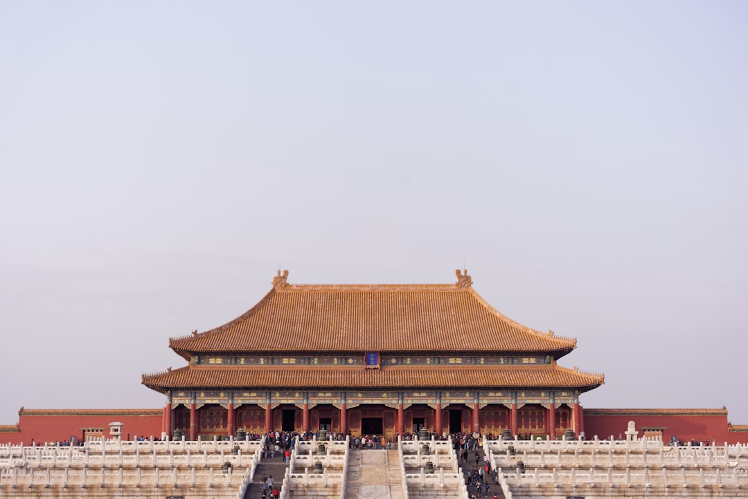 Building a Resilient Organization 