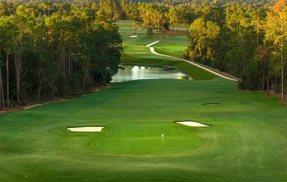 🟢 What to know about Tiger Wood's new Golf Course