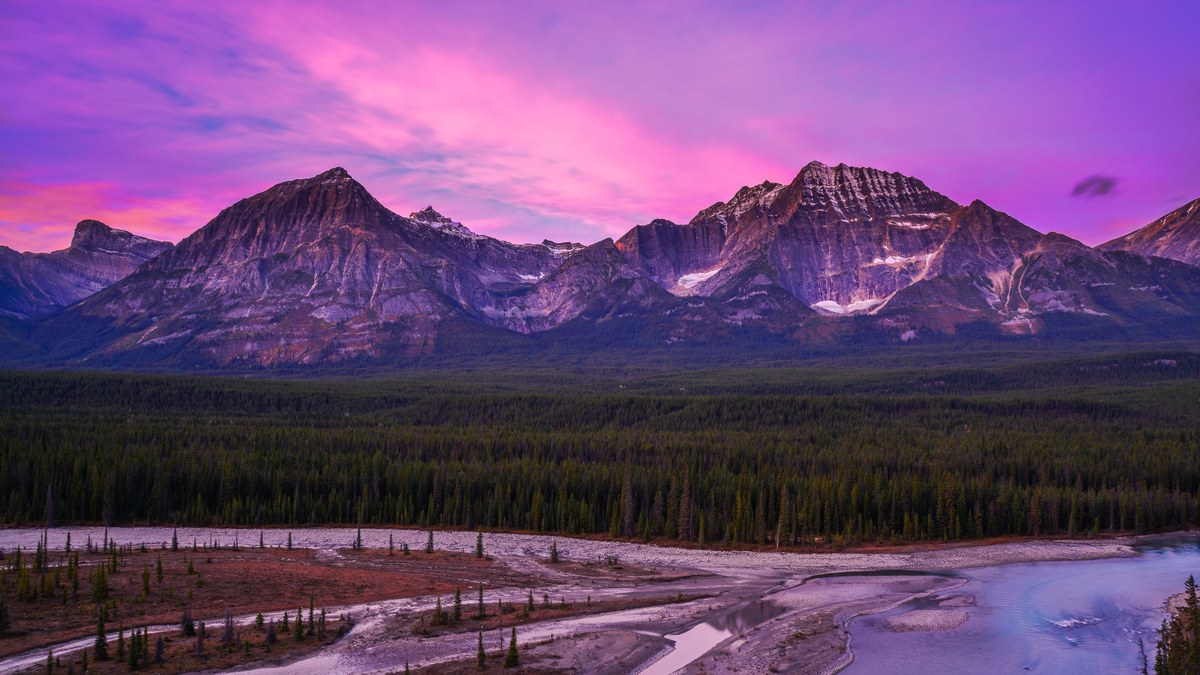 Rocky Mountain peaks above dense pine forest and a braided river at dusk, under a pink sky