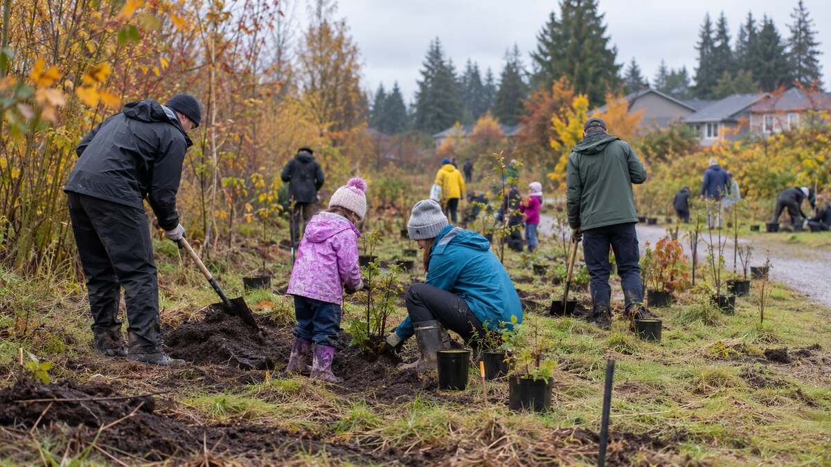 Mader Lane Community Planting