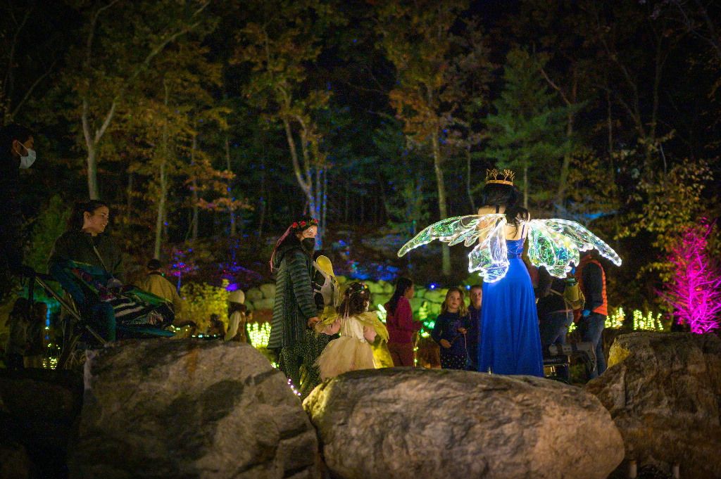 Fairies Aglow opens its illuminated garden season