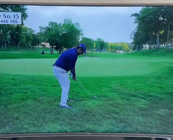 Johnson Wagner Shank of the Week