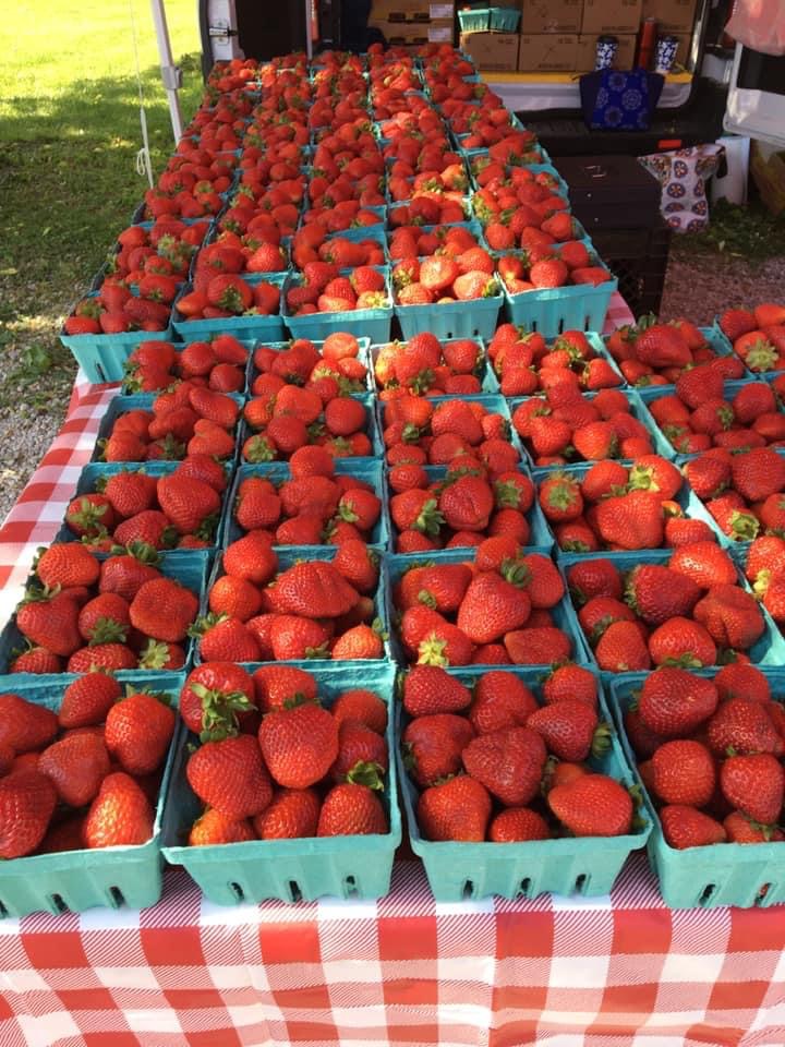 Strawberries in cartons at the Kimmswick Strawberry Festival