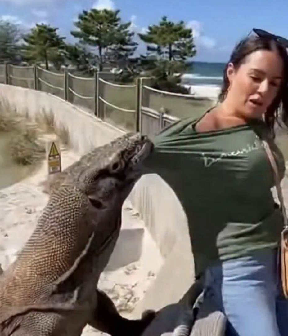 A woman missing a hand and an earring, seconds before a lizard that was never there