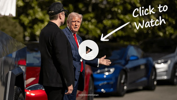Trump Musk Feud Video