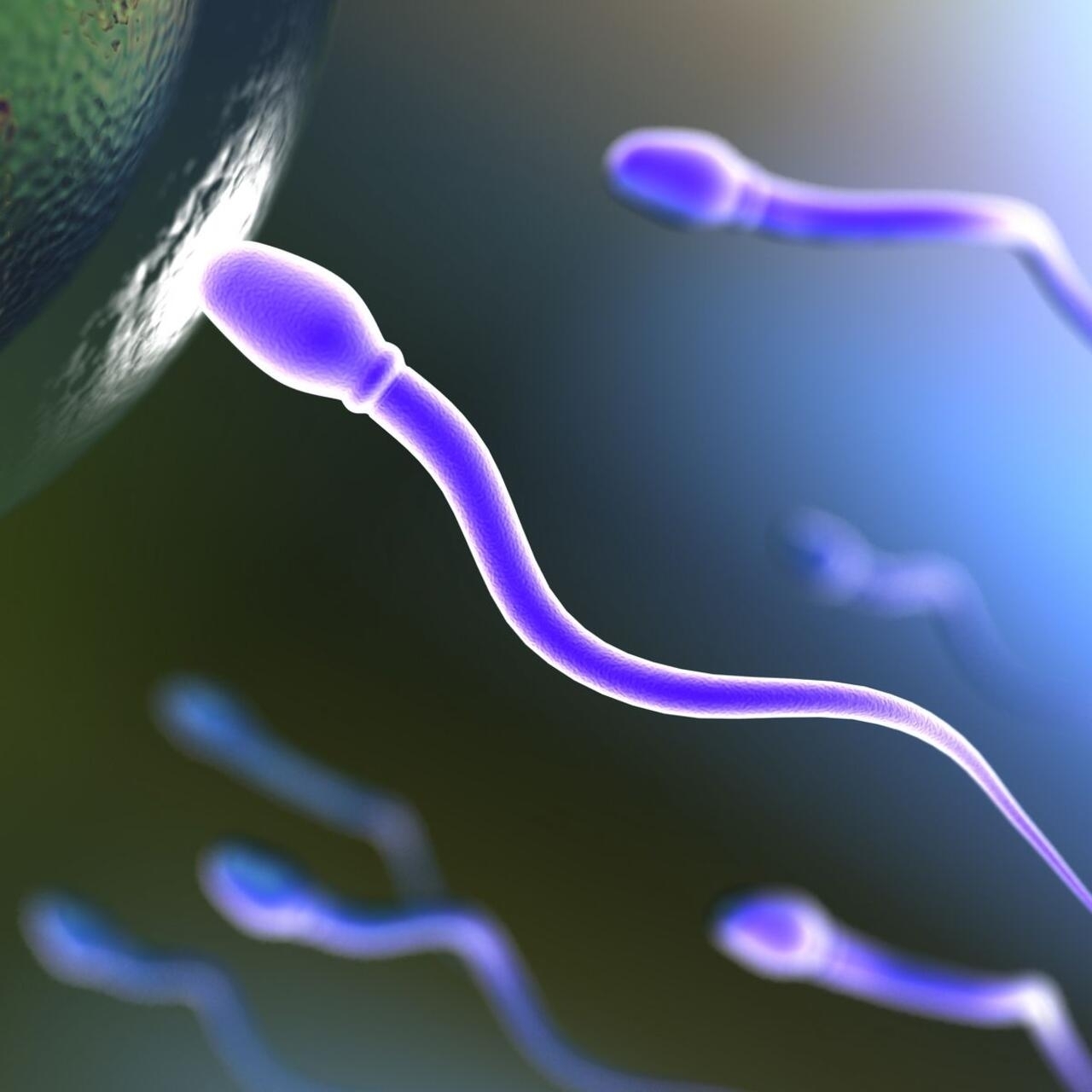 Anticoncepcional masculino tem 99% de eficácia 