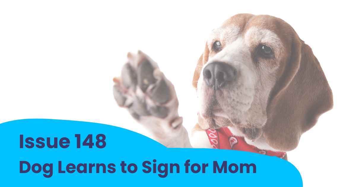 🐶 💞 Hero Dog Rescues Owner