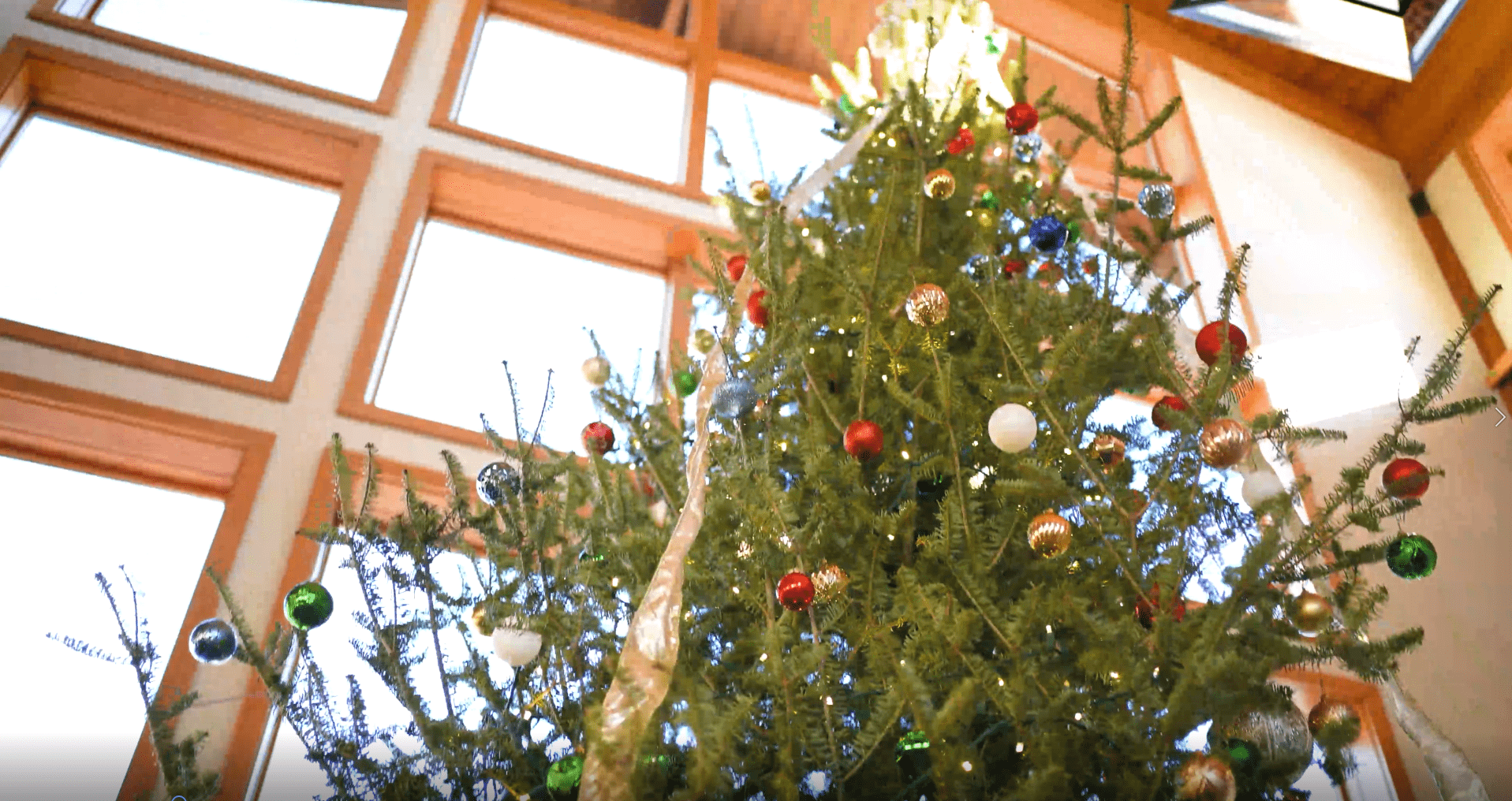 Santa's Forest Festival