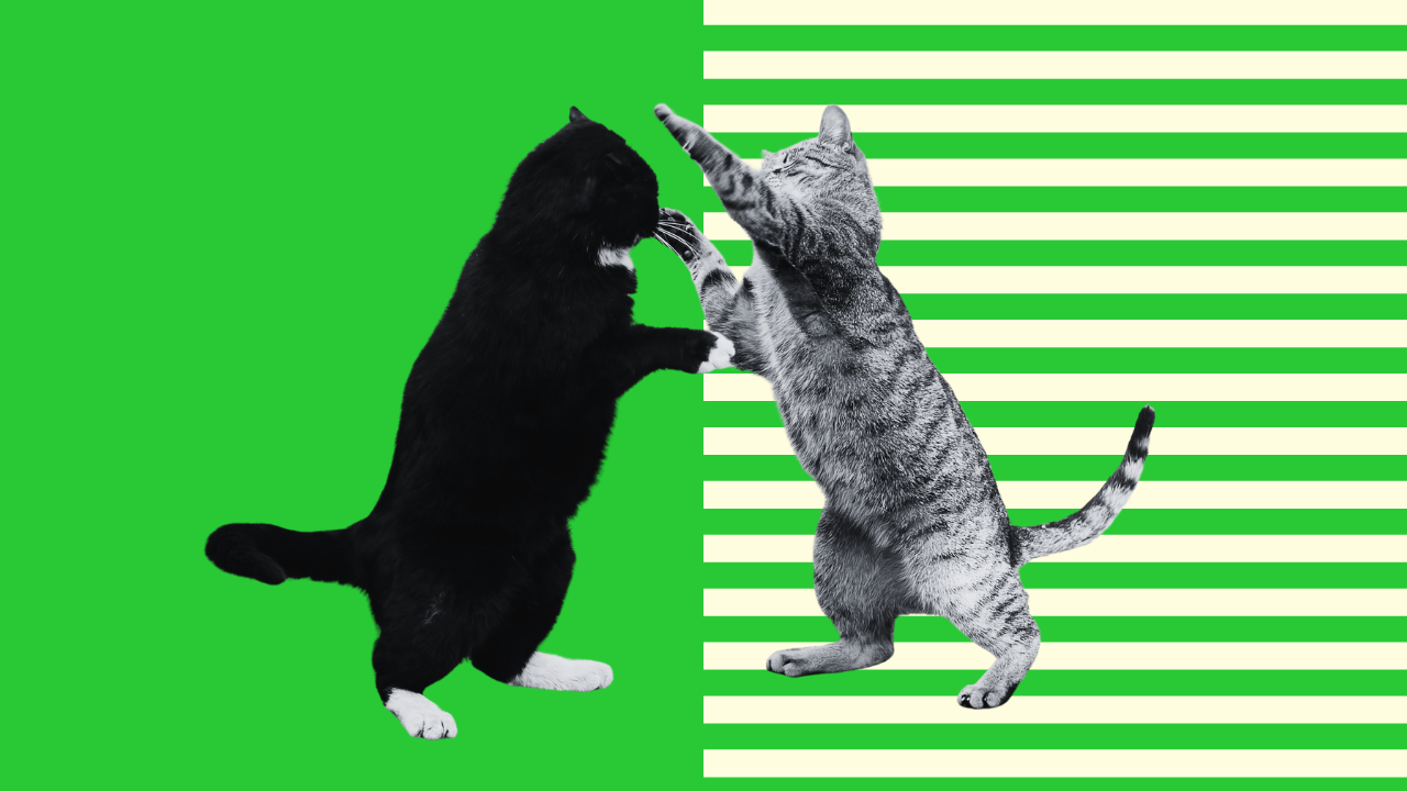 Does 'Dark Search' Help or Harm Retail Media?