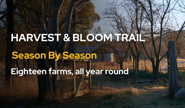 What's on in the Adelaide Hills: 12 to 18 August
