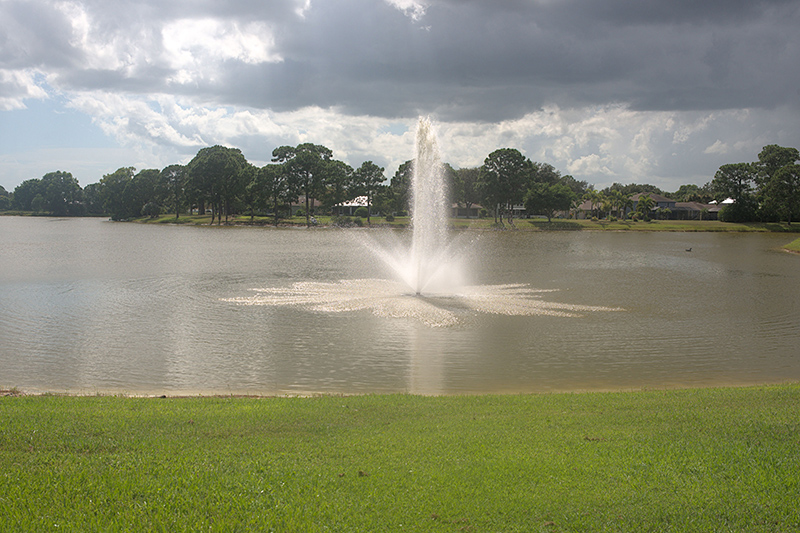 Sawgrass Lakes council approves $1.35M cleanup