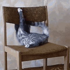A cat tumbling around a wooden chair