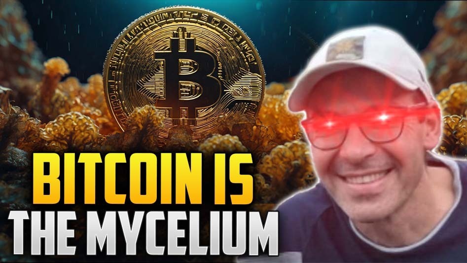 Bitcoin Is The Mycelium