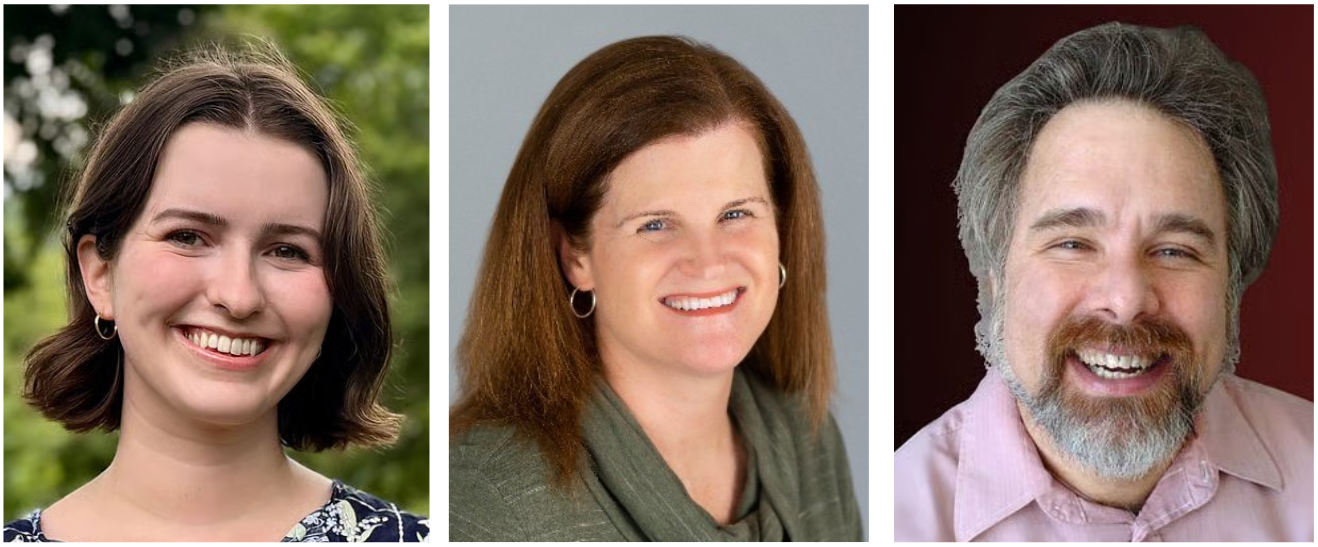 3 Ledger writers win Southern journalism awards
