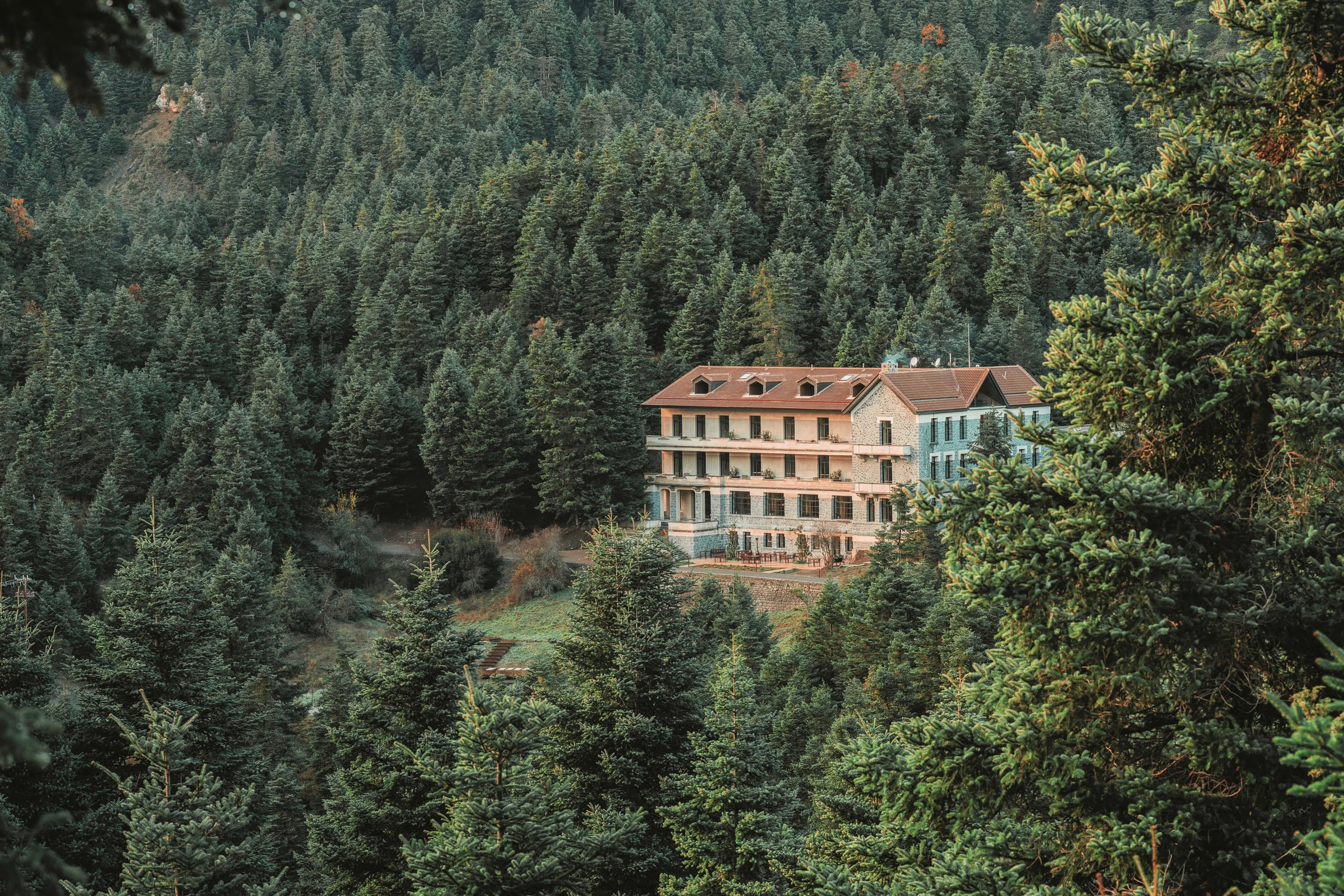 Stone Manna hotel surrounded by dense fir forest in Arcadia