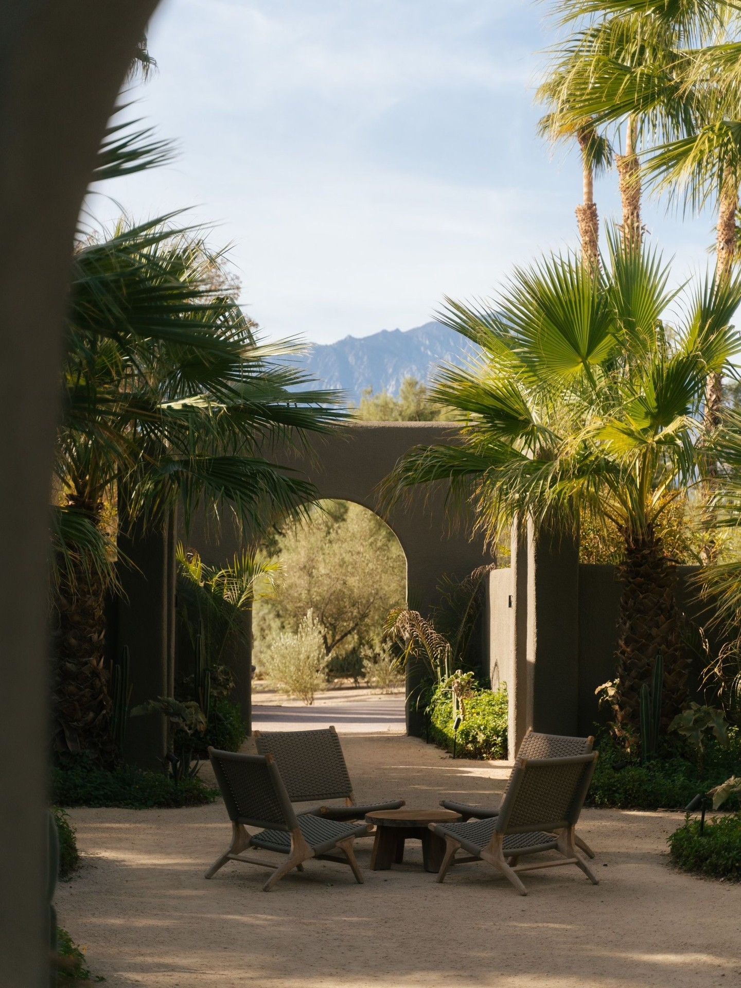 A palm-lined path at Two Bunch Palms