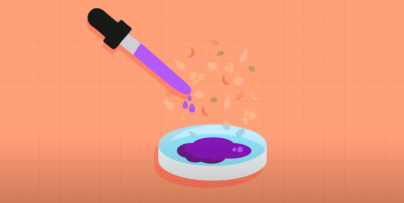 Flavours in FoodTech: Exploring novel flavours, textures and aromas to ...