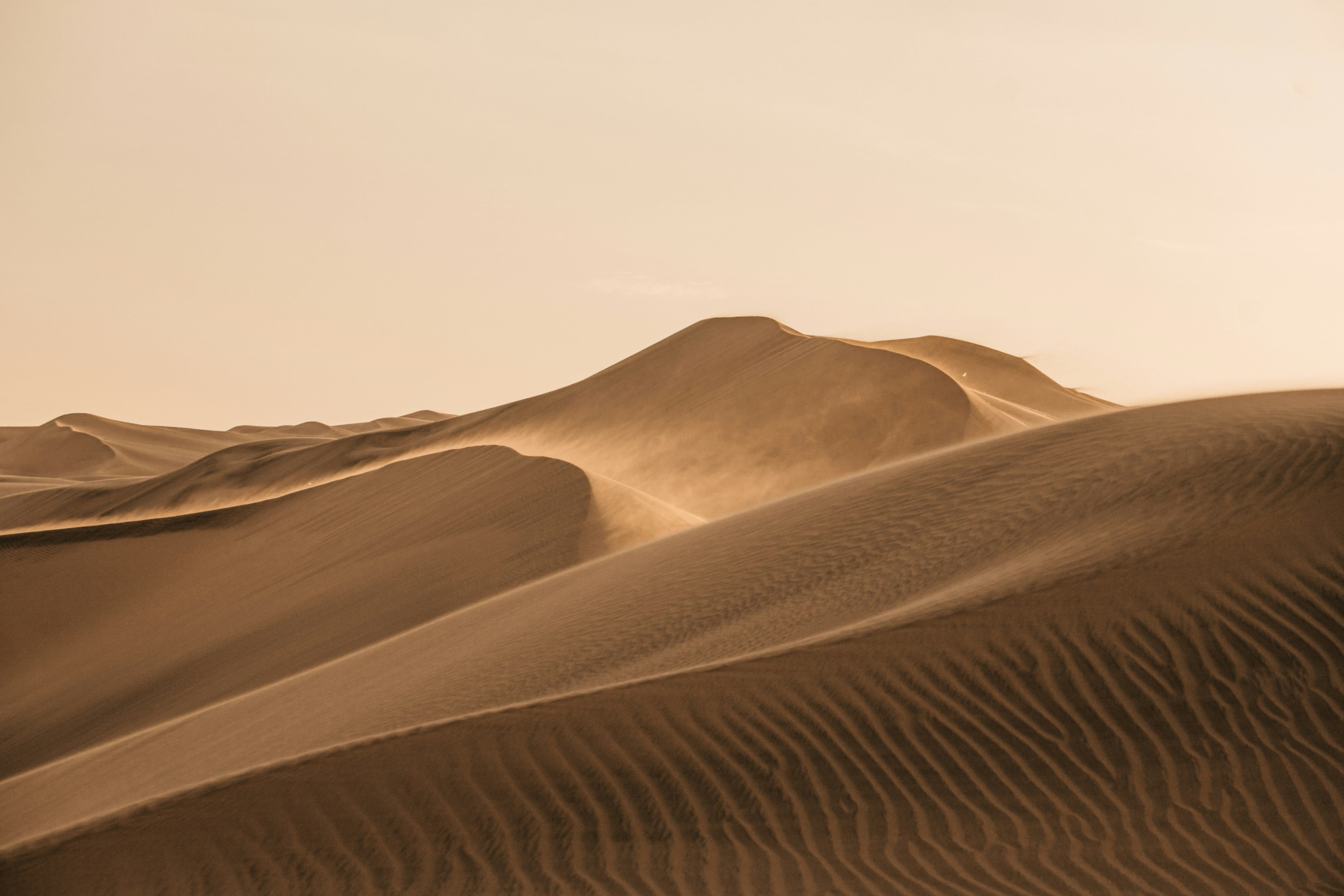 The Litany Against Fear