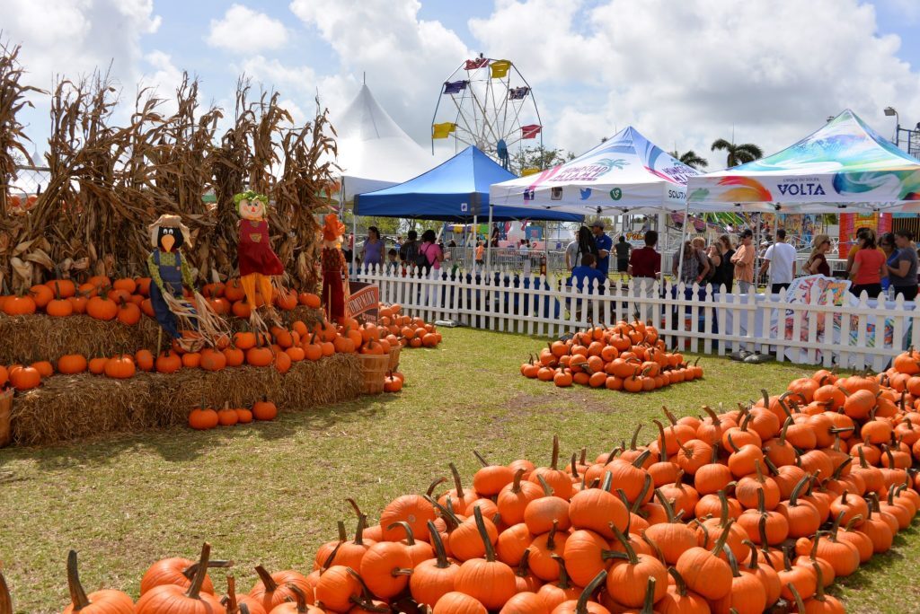 Fall Harvest in Palm Beach County