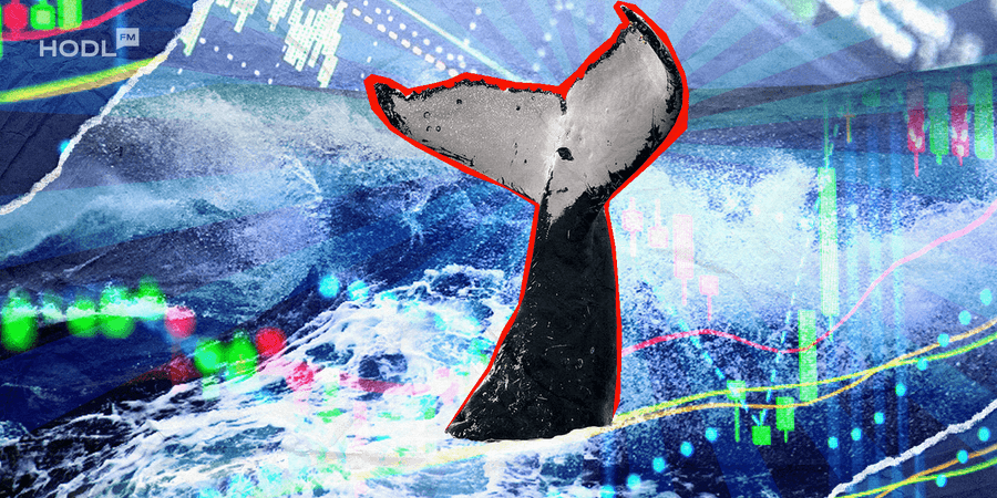 📉 Is Altseason Already Fading? - HODLFM Weekly